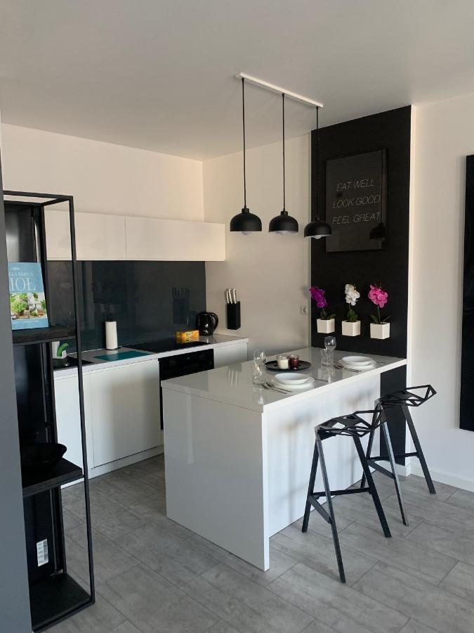 Ekskluzywny Penthouse Z Ogrodem W Centrum Lodzi エクステリア 写真