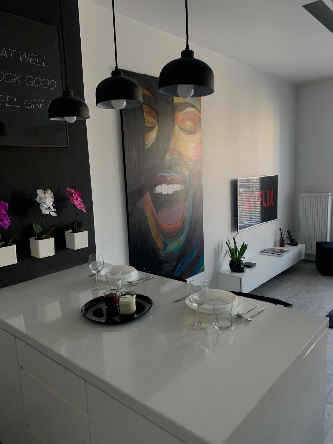 Ekskluzywny Penthouse Z Ogrodem W Centrum Lodzi エクステリア 写真