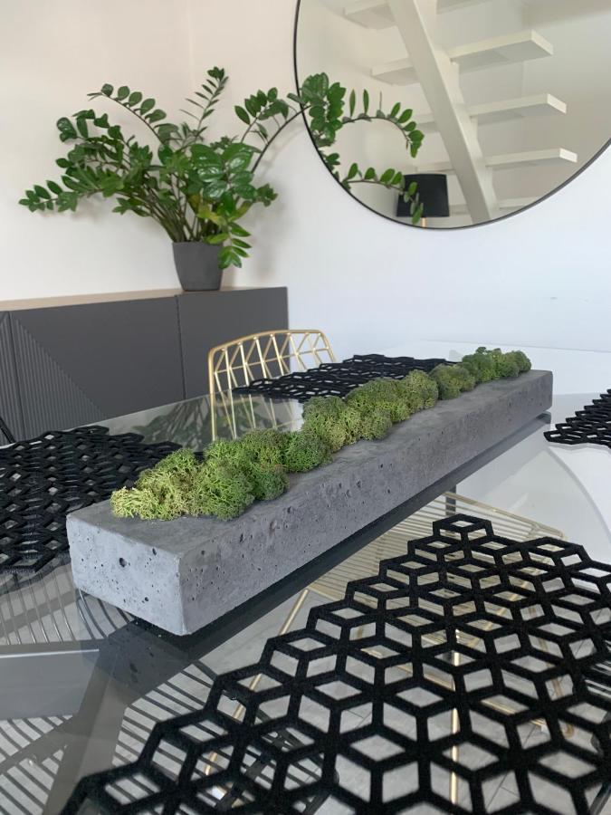 Ekskluzywny Penthouse Z Ogrodem W Centrum Lodzi エクステリア 写真